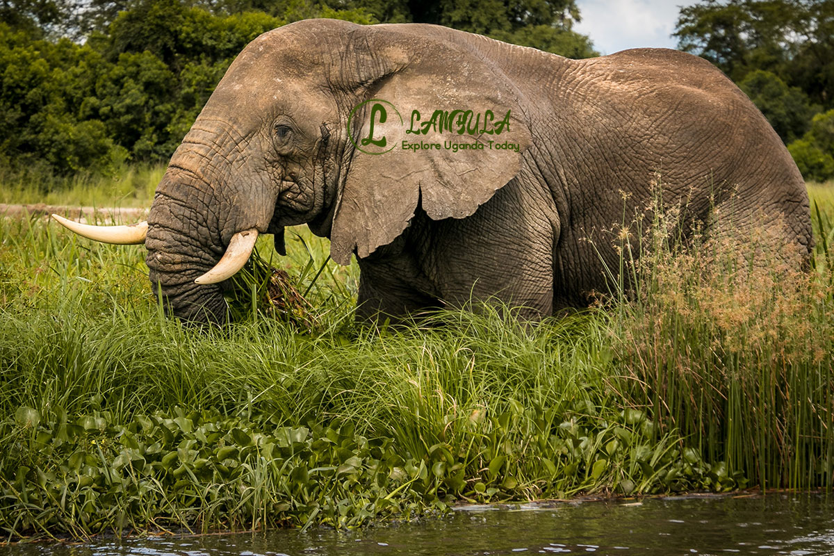 CNN names Uganda among the best destinations to visit in 2023