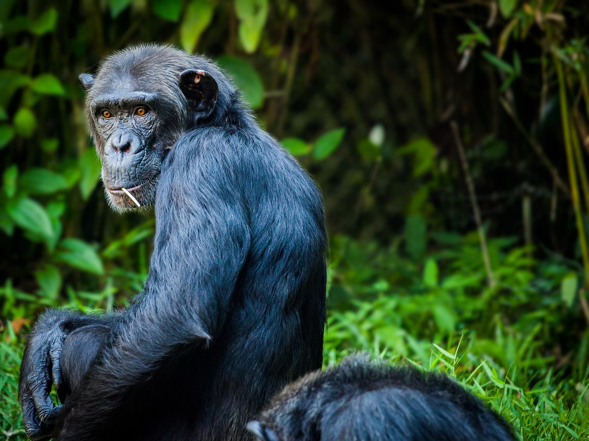 Here Are Reasons Why You Should Visit Uganda