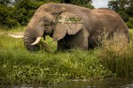 CNN names Uganda among the best destinations to visit in 2023